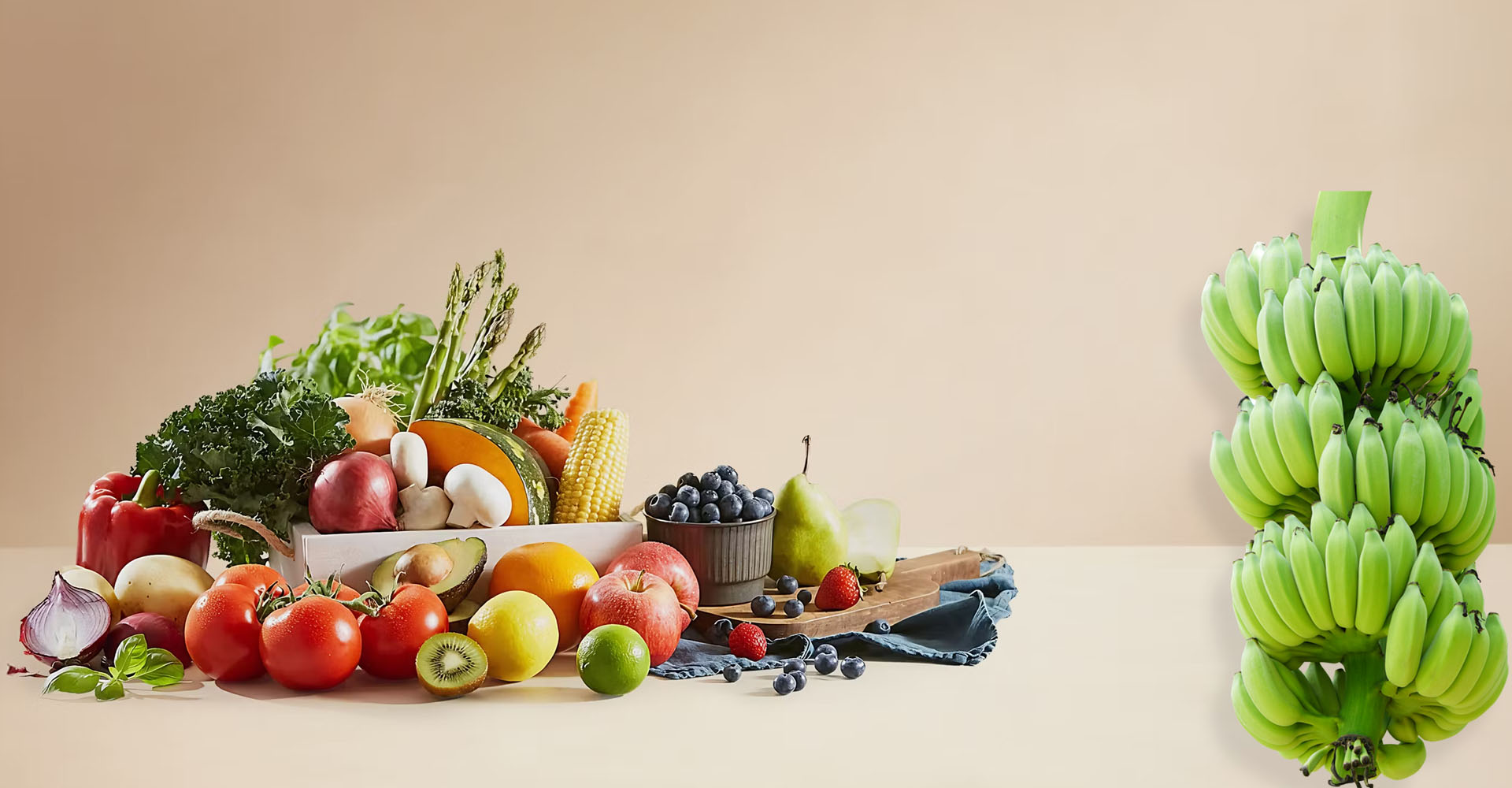 SHREE GANESHAY IMPORT EXPORT​​